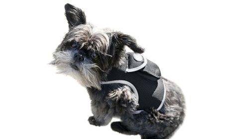 Keep Your Pet Safe with Portable Mini Realtime GSM GPRS Pet GPSTracker Size:XL