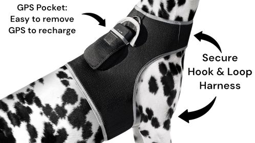 Enhanced Wireless GPRS GSM Tracking w/ Waterproof Mini Pet GPSTracker Size:XS