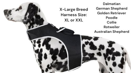 Keep Your Pet Safe with Portable Mini Realtime GSM GPRS Pet GPSTracker Size:XS